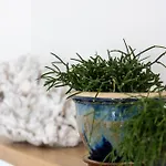 Rooftop * 奥斯滕德